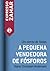 A Pequena Vendedora de Fósforos by Hans Christian Andersen