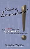 What A Coincidence!: The wow! factor in synchronicity and what it means in everyday life