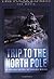 Trip To The North Pole by Ellen Weiss