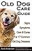 Old Dog Care Guide: Signs, Symptoms, Care & Cures For 17 Common Old Dog Diseases
