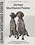 German Shorthaired Pointer