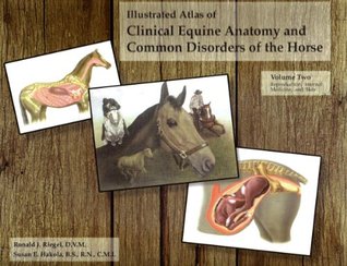 The Illustrated Atlas of Clinical Equine Anatomy and Common Disorders of the Horse (Spiral-bound)