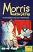 Morris and the Cat Flap