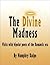 The Divine Madness: Visits ...