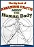 The Big Book of Amazing Human Body Facts: 150+ human body facts that will shock, amuse and amaze you (Amazing Facts)
