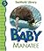 Baby Manatee