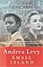 Small Island by Andrea Levy