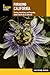 Foraging California: Findin...