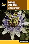 Foraging Californ...