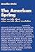 The American Spring: What We Talk About When We Talk About Revolution