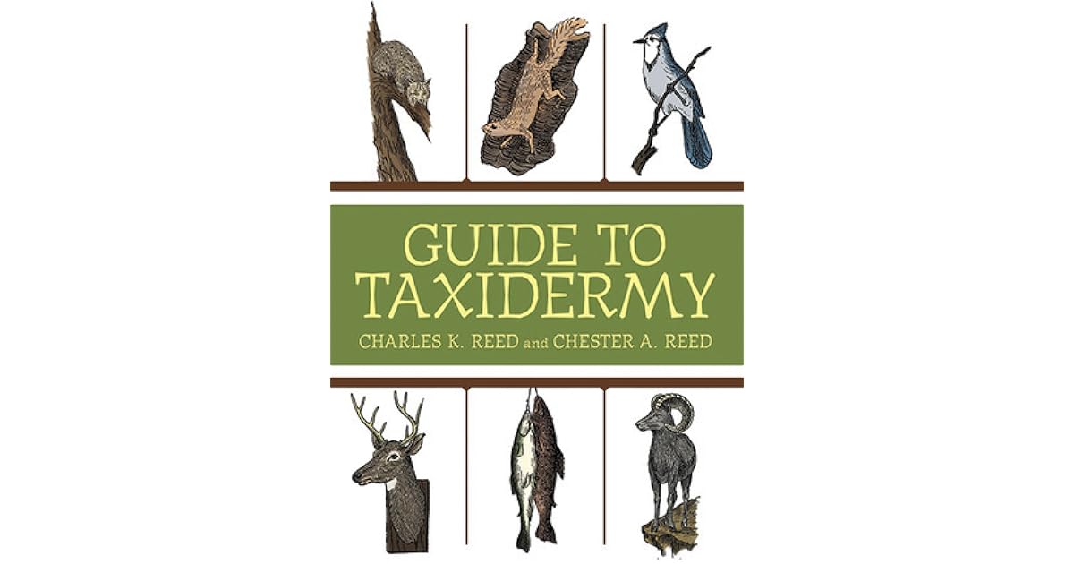 Guide to Taxidermy by Charles K. Reed