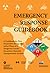 Emergency Response Guidebook: A Guidebook for First Responders during the Initial Phase of a Dangerous Goods/Hazardous Materials Transportation Incident (2013)