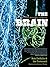 The Brain: Big Bangs, Behaviors, and Beliefs