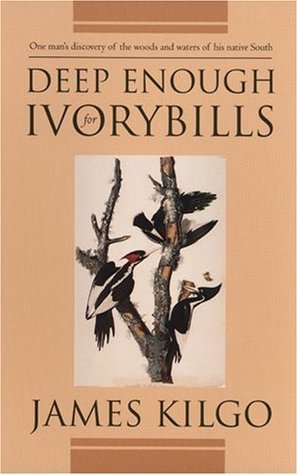 Deep Enough for Ivorybills (Brown Thrasher Books)