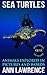 Sea Turtles - Animals Explo...