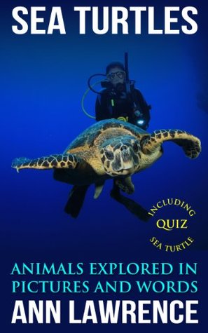 Sea Turtles - Animals Explored in Pictures and Words (Kindle Edition)