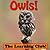 Owls! Learn About Owls And Learn To Read - The Learning Club! (45+ Photos of Owls)