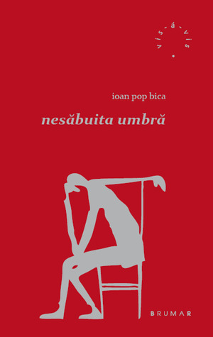 nesăbuita umbră (Paperback)