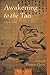 Awakening to the Tao by Liu Yiming