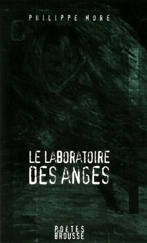 le laboratoire des anges (Paperback)