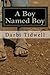 A Boy Named Boy by Darbi Tidwell