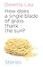 How Does A Single Blade of Grass Thank the Sun? by Doretta Lau