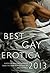 Best Gay Erotica 2013