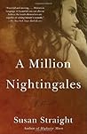 A Million Nightin...