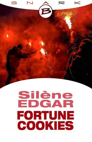 Fortune Cookies (Kindle Edition)