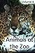 Animals at the Zoo – Volume 4
