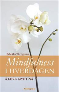 Mindfulness i hverdagen - lev livet nå