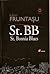St. BB/St. Bosnia Blues
