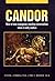 Candor: How to have courage...