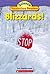 Blizzards! by Eric Charlesworth