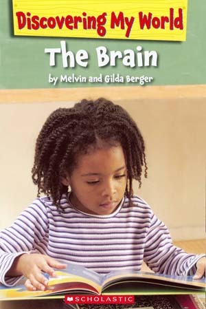 The Brain