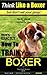 Boxer, Boxer Training AAA A...