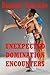 Unexpected Domination Encounters: Five Hardcore BDSM Erotica Stories