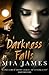 Darkness Falls: A Ravenwood Saga Novel (Ravenwood Series Book 2)