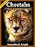 Cheetahs: Awesome Photos and Fun Facts (A Little Intro to Animals And Nature Series Book 2)