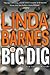 The Big Dig (A Carlotta Carlyle Mystery #9)