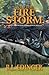 Into The Fire Storm by R.L. Edinger