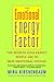 The Emotional Energy Factor by Mira Kirshenbaum