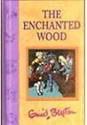 The Enchanted Wood