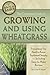 The Complete Guide to Growing and Using Wheatgrass: Everything You Need to Know Explained Simply, Including Easy-To-Make Recipes (Back to Basics Growing)