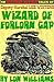 Wizard of Forlorn Gap by Lon Williams