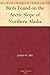 Birds Found on the Arctic Slope of Northern Alaska