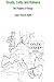 Druids, Celts, and Romans: The Founders of Europe
