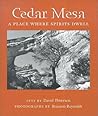 Cedar Mesa: A Place Where Spirits Dwell (Desert Places)