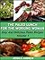 The Paleo Lunch For The Working Woman Easy And Delicious Paleo Recipes Volume 1