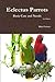 Eclectus Parrots basic care and needs